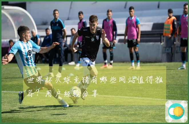 世界杯买球竞猜有哪些网站值得推荐？用户经验分享