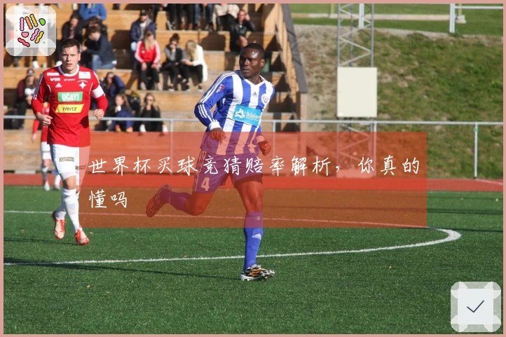 世界杯买球竞猜赔率解析，你真的懂吗