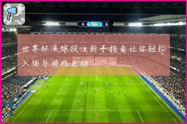 世界杯滚球投注新手指南让你轻松入场与游戏互动
