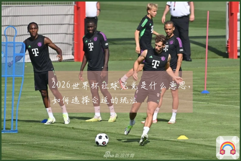 2026世界杯让球究竟是什么意思，如何选择合适的玩法