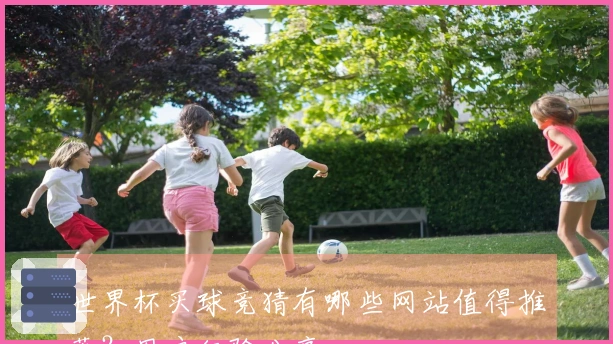 世界杯买球竞猜有哪些网站值得推荐？用户经验分享