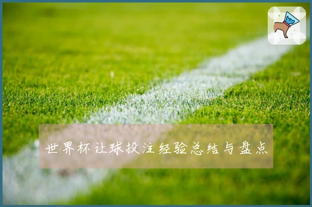 世界杯让球投注经验总结与盘点