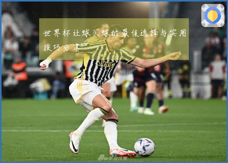 世界杯让球买球的最佳选择与实用技巧分享