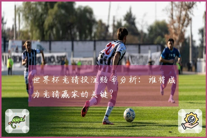 世界杯竞猜投注赔率分析：谁将成为竞猜赢家的关键？