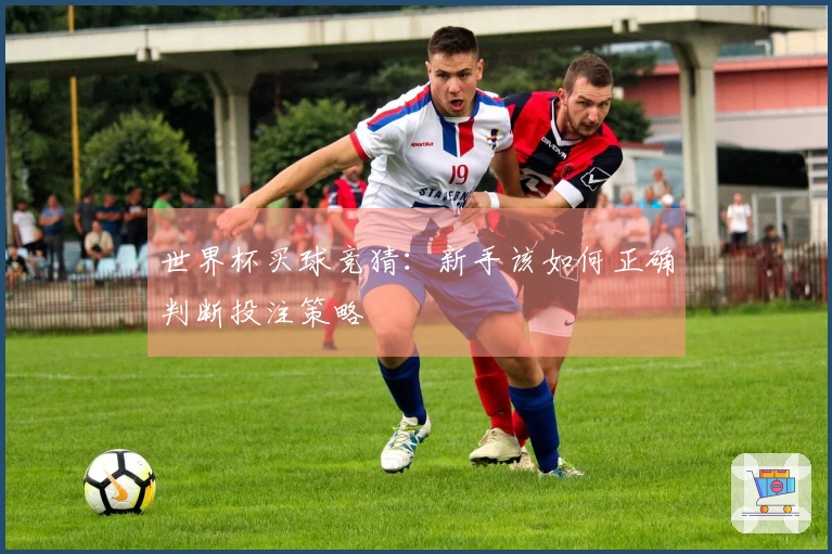 世界杯买球竞猜：新手该如何正确判断投注策略